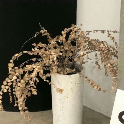 Furry插画故事感营造福瑞群